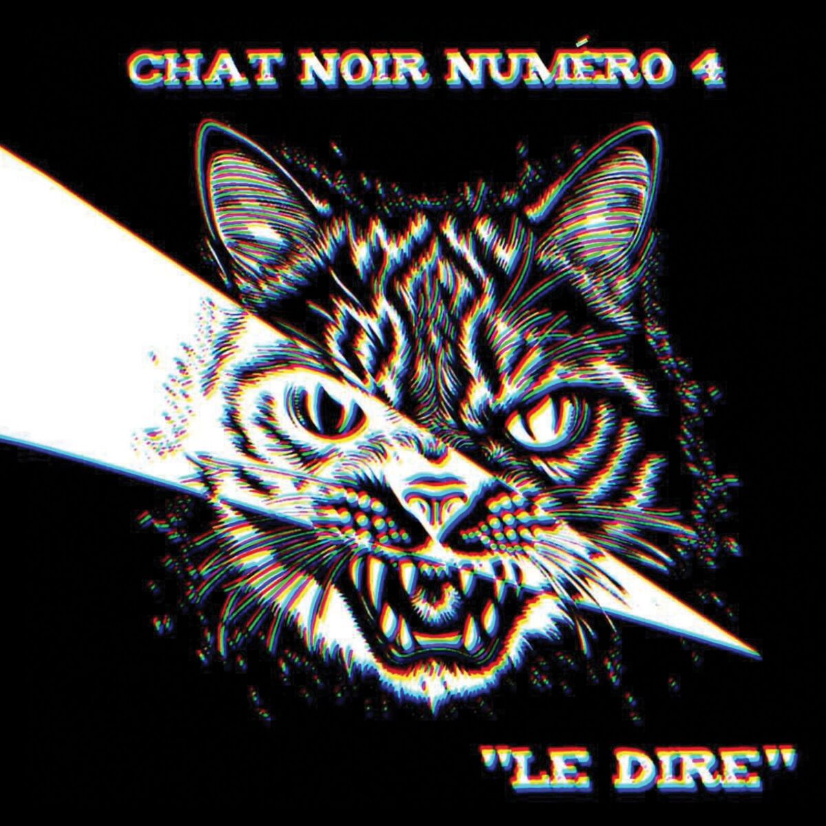 Char Noir Numéro 4 - Le Dire